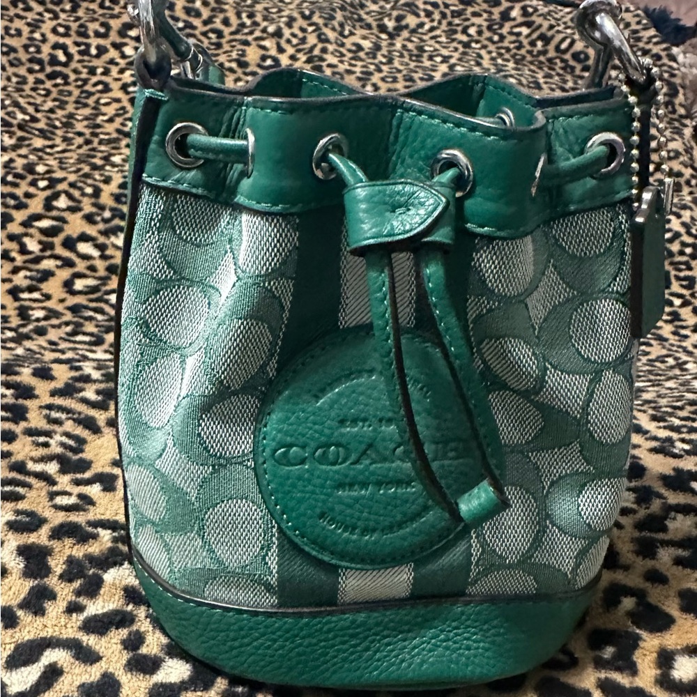 Coach Green and Gray Signature Bucket Bag